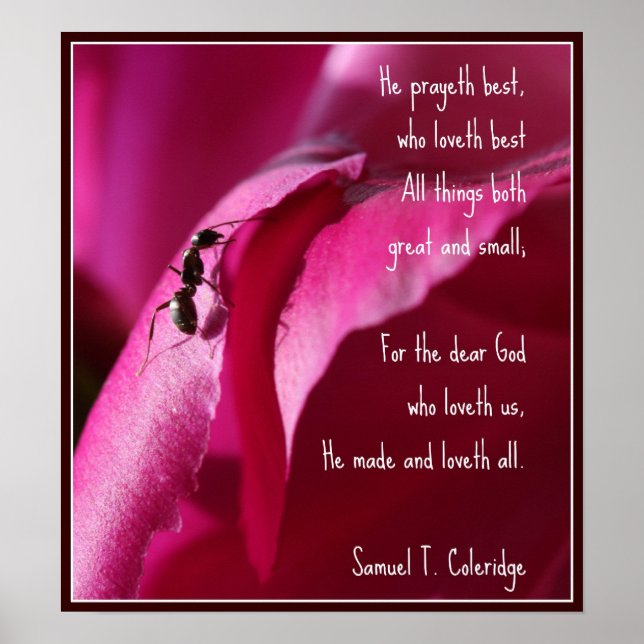 Alle Kreaturen Groß und Klein Poster (Vorne)