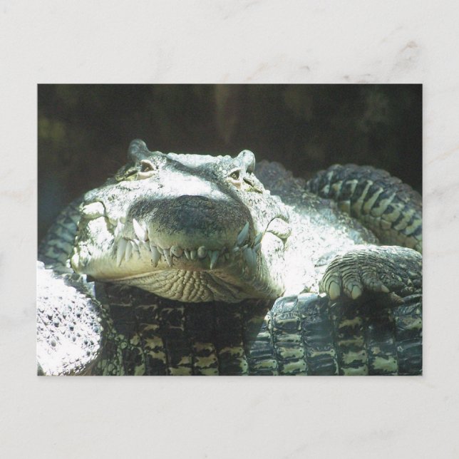 Alle lächeln postkarte (Vorderseite)