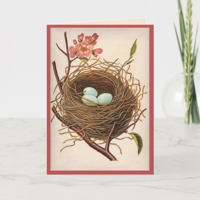 Alle Ocassion Birdnest Vielen Dank Dankeskarte (Vorderseite)