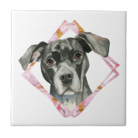 "Alle Ohren" 2 Pitbull-HundeAquarell-Malerei