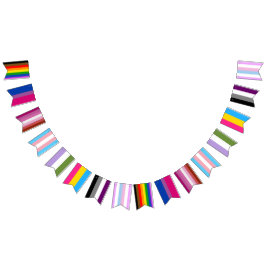 Alle Pride Flags Wimpelkette
