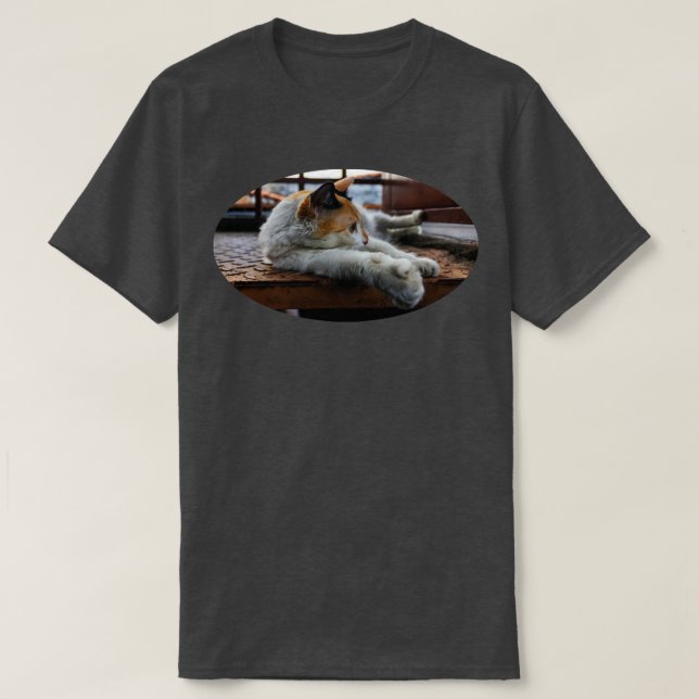 Alle sind schön T-Shirt (Design vorne)