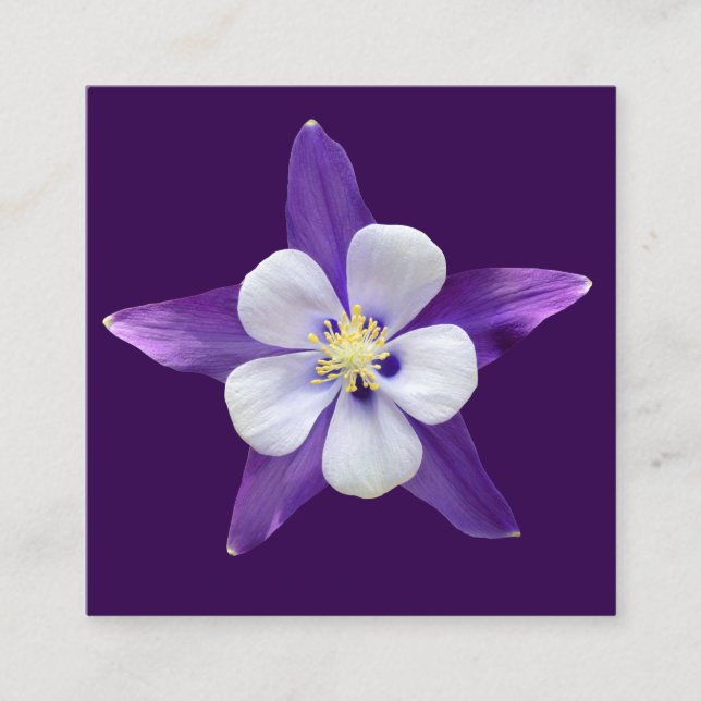 Alle zweckmäßigen kleinen Quadrat-Gift-Gards Begleitkarte (Vorderseite)