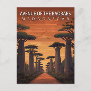 Allee der Baobabs Madagaskar Afrikanische Natur Postkarte