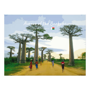 Allee der Baobabs, Madagaskar - Landschaft Fotodruck