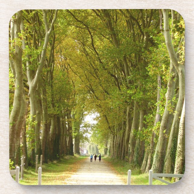 Allee der Bäume harte Kunststoff-Untersetzer Getränkeuntersetzer (Vorderseite)