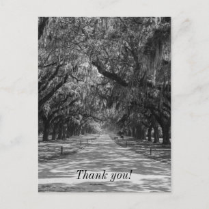 Allee der Eichen Graustufen Dankeschön-Postkarte Postkarte