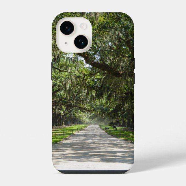 Allee der Eichen iPhone Hülle (Rückseite)