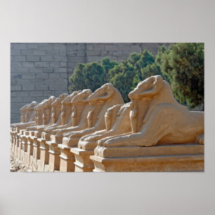 Allee der Sphingen im Karnak-Tempel - Ägypten Poster