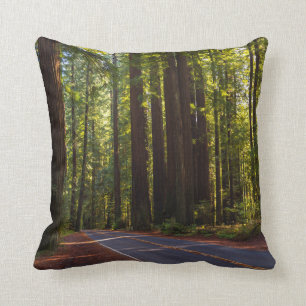 Allee des riesigen Rotholzes Kalifornien Kissen