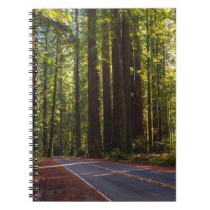 Allee des riesigen Rotholzes Kalifornien Notizblock