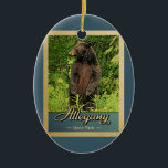 Allegano Staat Park Vintage Keramik Ornament<br><div class="desc">Vintage Reise-Ornament Allegany Staat Park Bild mit einem schwarzen Bär stehend auf seinen Hinterbeinen,  Blick in den grünen Wald.</div>