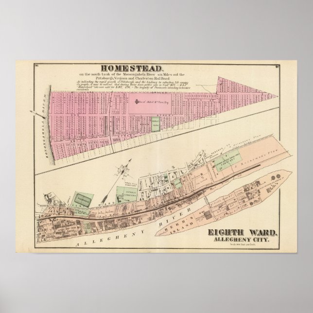 Allegheny ward 8 Homestead Poster (Vorne)