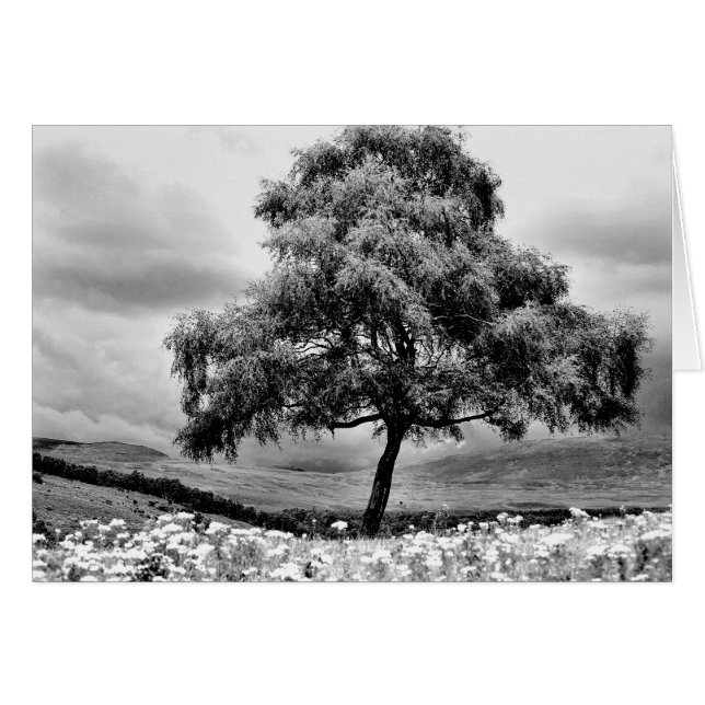 allein (Vorderseite (Horizontal))