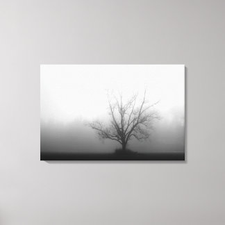 Allein - Baum am Morgen Nebel Wrapped Canvas Leinwanddruck