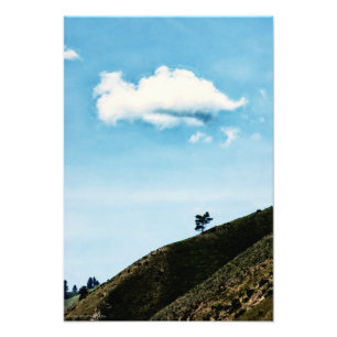 allein fotodruck