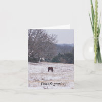 Allein im Schnee Danke Karte
