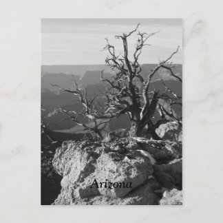 Allein in Arizona Postkarte