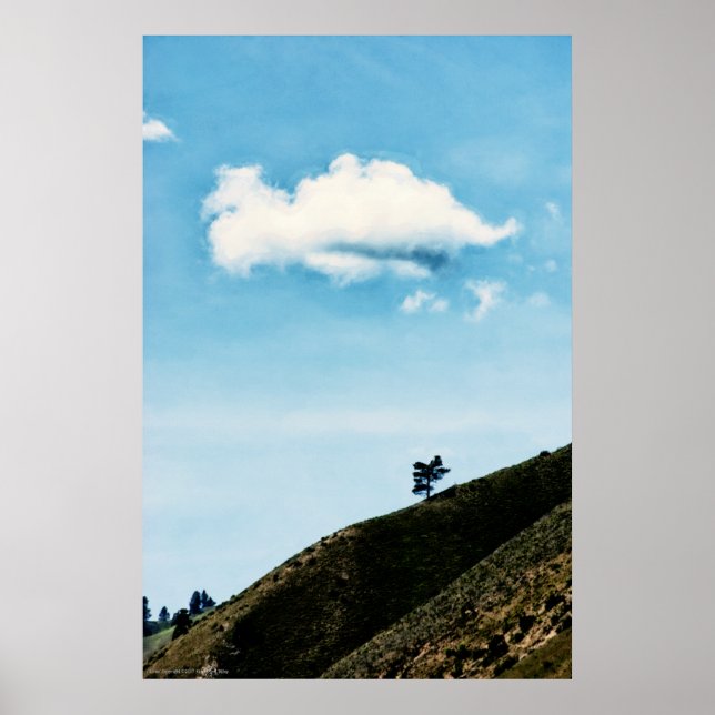 allein poster (Vorne)