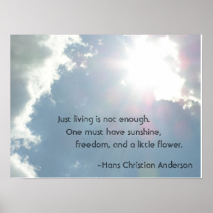 Allein zu leben reicht nicht aus. poster