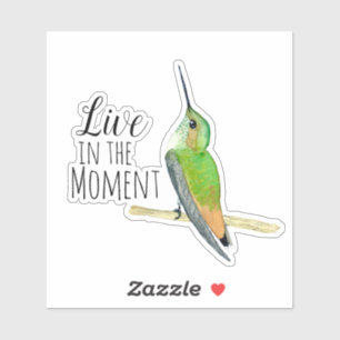 Allen's Hummingbird Sticker