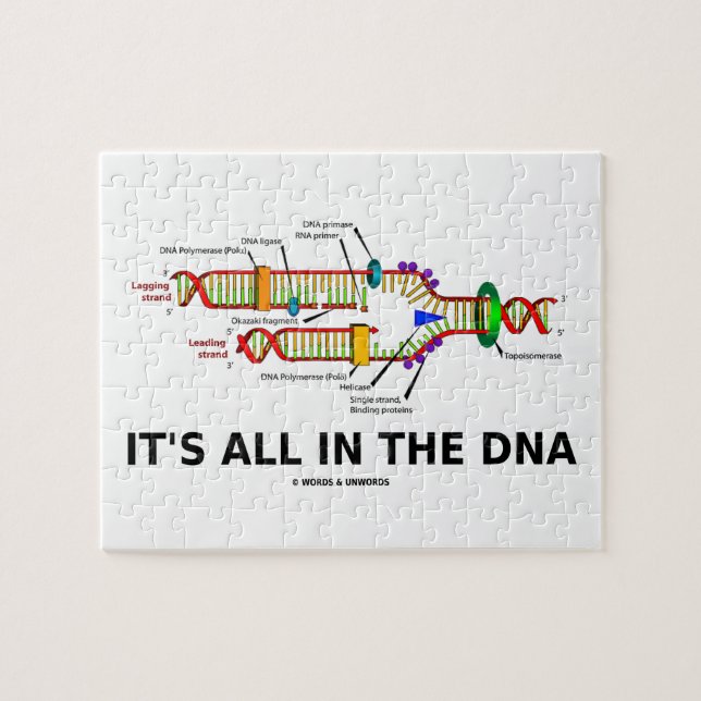 Aller es ist im Molekularbiologie-Spaß DNA Puzzle (Horizontal)