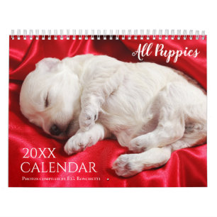 Aller Welpen 2027 Welpenhund-Wandkalender Süßer Ka Kalender