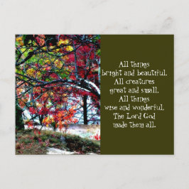 Alles Gute und Schönes Postkarte