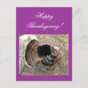 Alles Gute zum Erntedankfest! - ERNTEDANK Feiertagspostkarte