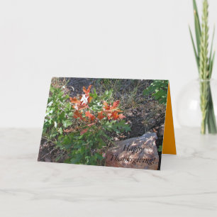 Alles Gute zum Erntedankfest! von Janz Feiertagskarte