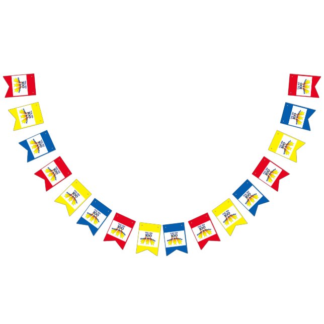 Alles Gute zum Geburtstag 100 Wimpelkette (Alle)