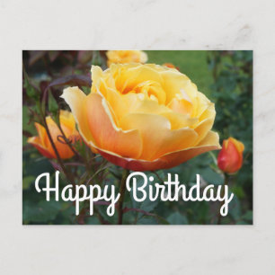 Alles Gute zum Geburtstag About Face Rose #2 Postk Postkarte