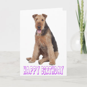 Alles Gute zum Geburtstag Airedale Terrier Welpen  Karte