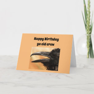 Alles Gute zum Geburtstag alte Krähe Karte