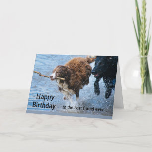 Alles Gute zum Geburtstag Bester Freund Spaßige Al Karte