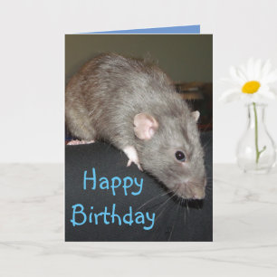 Alles Gute zum Geburtstag! Blue Card Karte