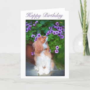 Alles Gute zum Geburtstag Blumen schnuppernder Kin Karte