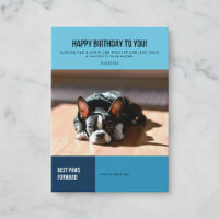 Alles Gute zum Geburtstag Boston Terrier Nap Karte