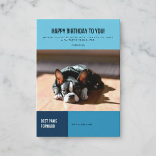 Alles Gute zum Geburtstag Boston Terrier Nap Karte