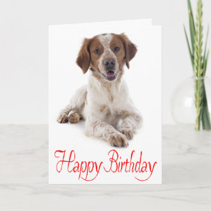 Alles Gute zum Geburtstag Brittany Spaniel Welpen Karte