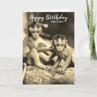 Alles Gute zum Geburtstag Bruder Süße Affen Geburt