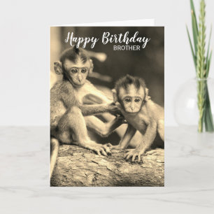 Alles Gute zum Geburtstag Bruder Süße Affen Geburt Karte