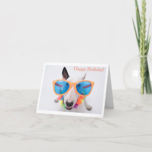 Alles Gute zum Geburtstag Bull Terrier Karte