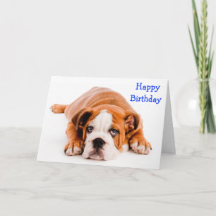 Alles Gute zum Geburtstag Bulldogge Grußkarte - Ve Karte