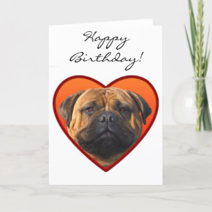 Alles Gute zum Geburtstag bullmastiff Hund Karte
