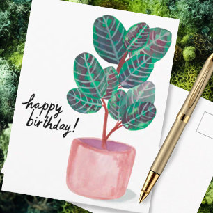 Alles Gute zum Geburtstag Calathea Prayer Pflanze  Postkarte