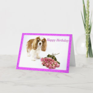 Alles Gute zum Geburtstag Cavalier King Charles Sp Karte