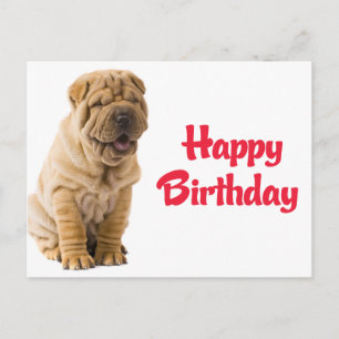 Alles Gute zum Geburtstag Chinesischer Shar Pei We Postkarte
