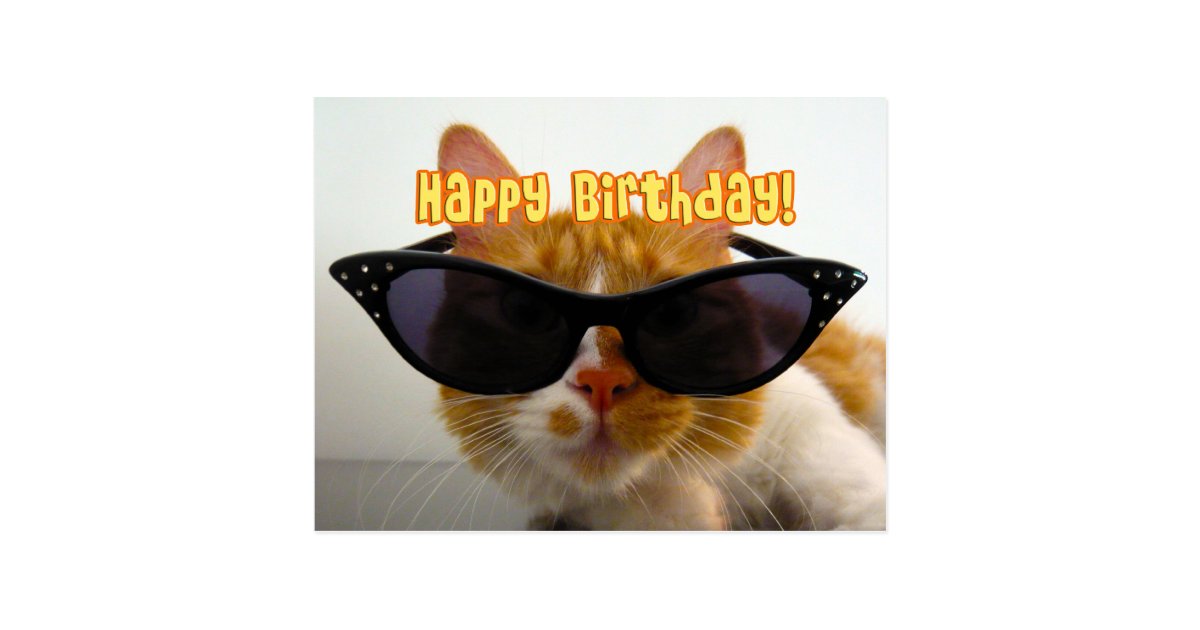 Alles Gute Zum Geburtstag Coole Katze In Der Postkarte Zazzle At