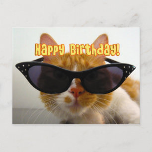 Alles Gute zum Geburtstag - Coole Katze mit Sonnen Postkarte
